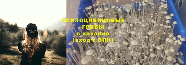 МДПВ Бронницы